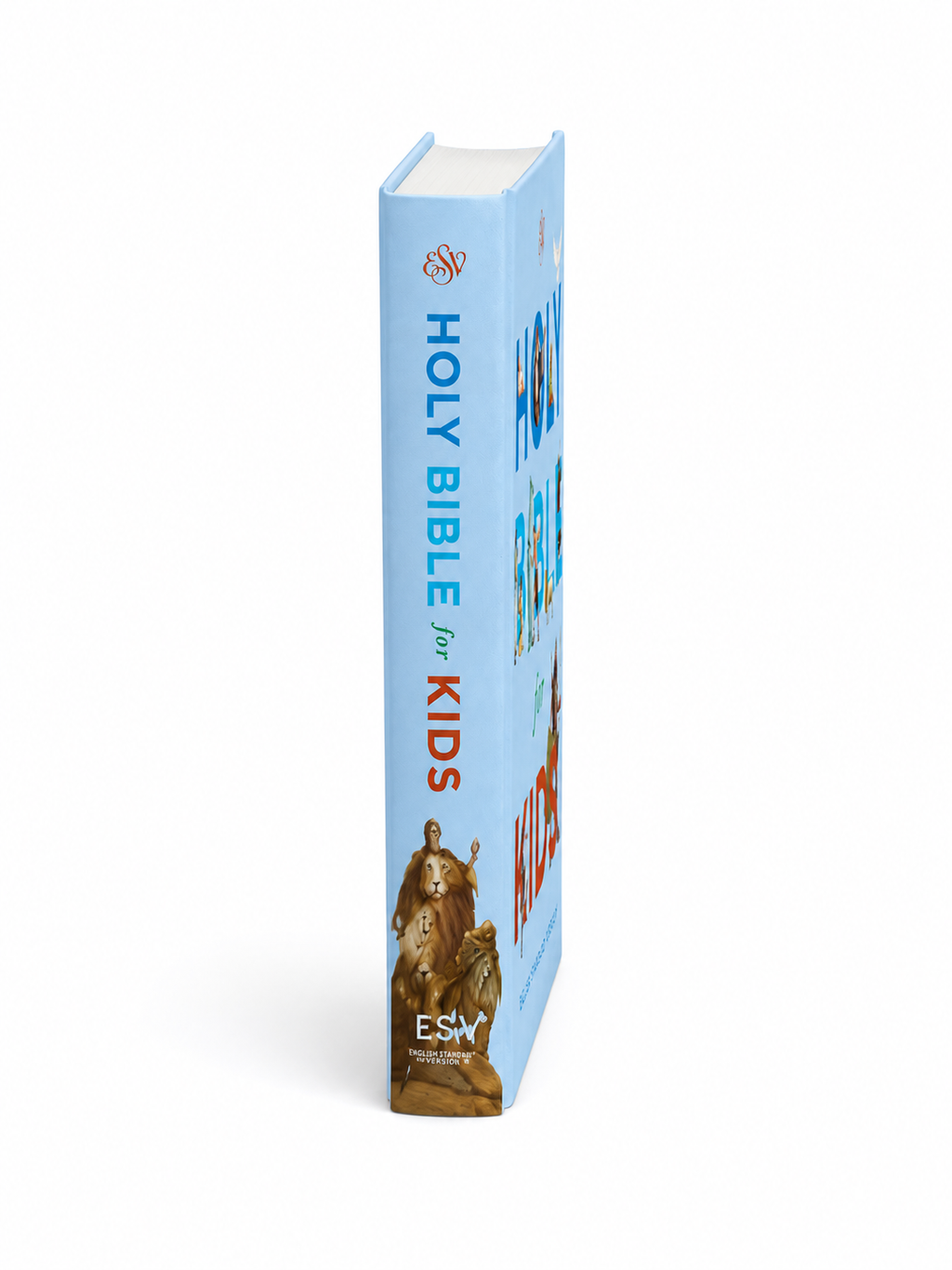 ESV Holy Bible Kids - Paperback