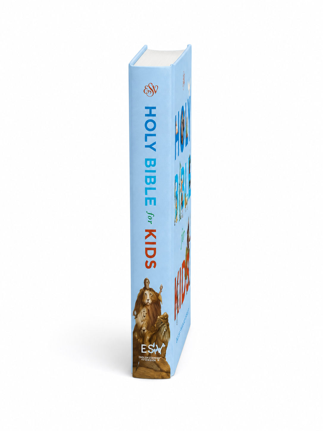 ESV Holy Bible Kids - Paperback