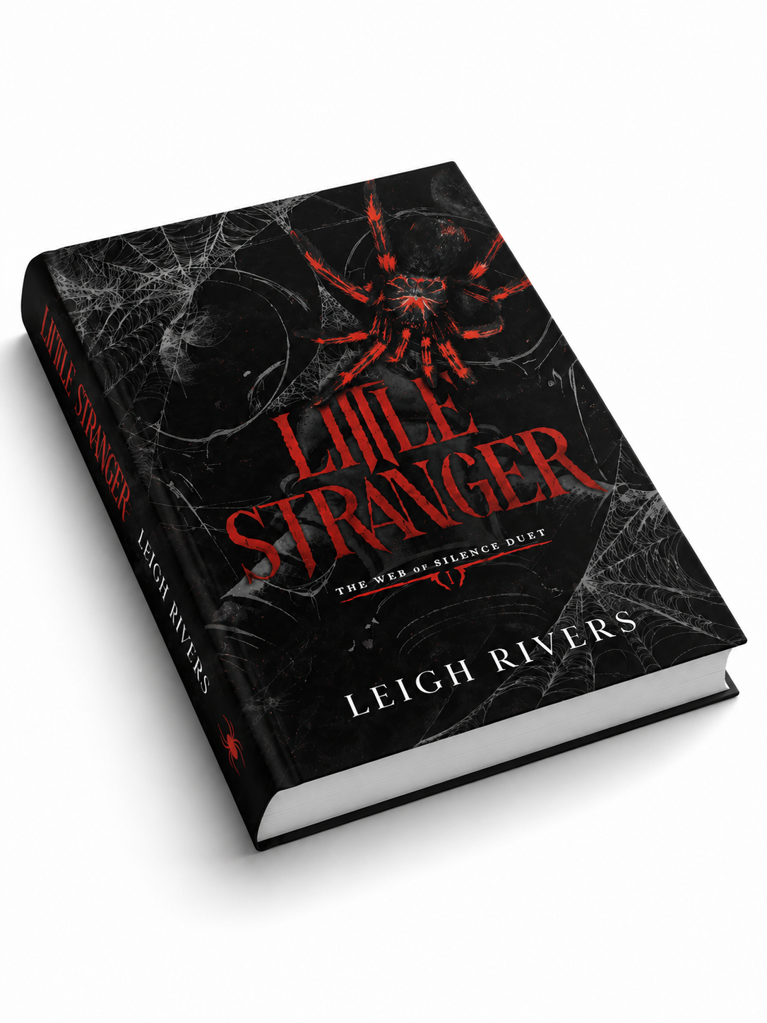 Little Stranger - Paperback