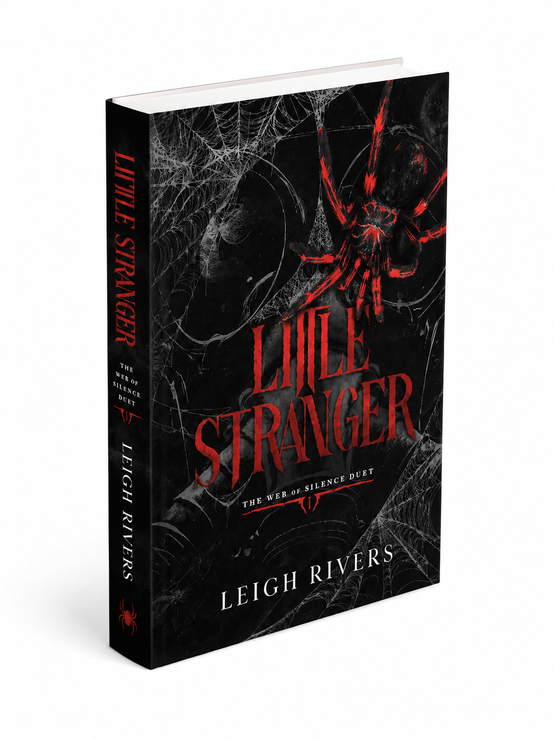 Little Stranger - Paperback