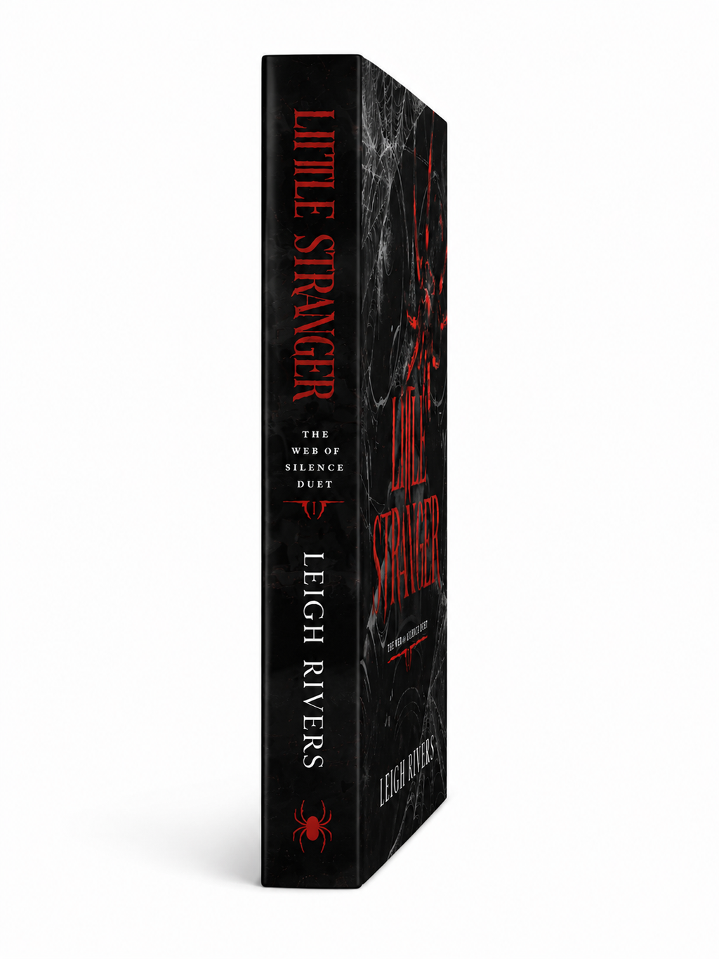 Little Stranger - Paperback