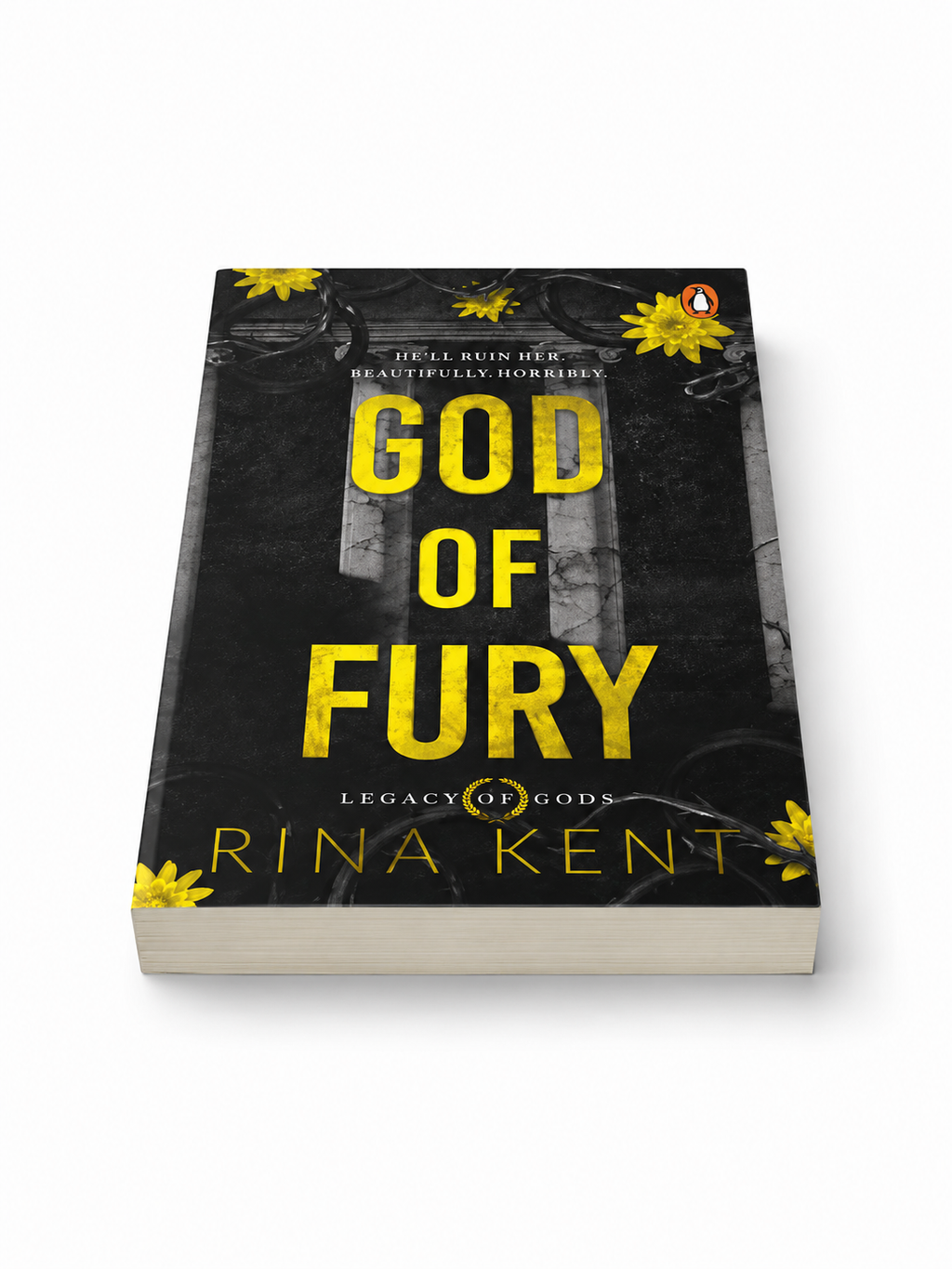God of Fury - Paperback