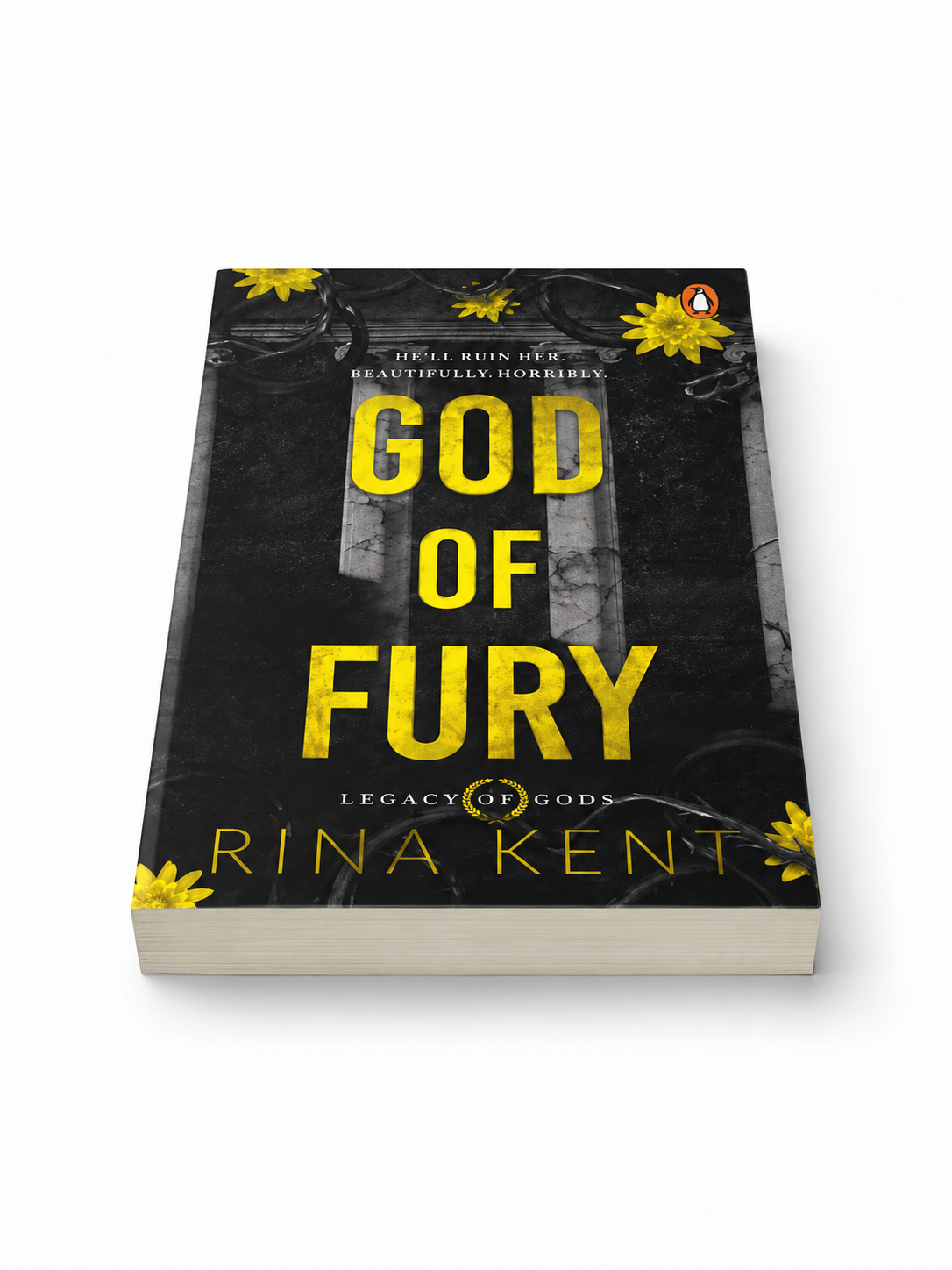 God of Fury - Paperback