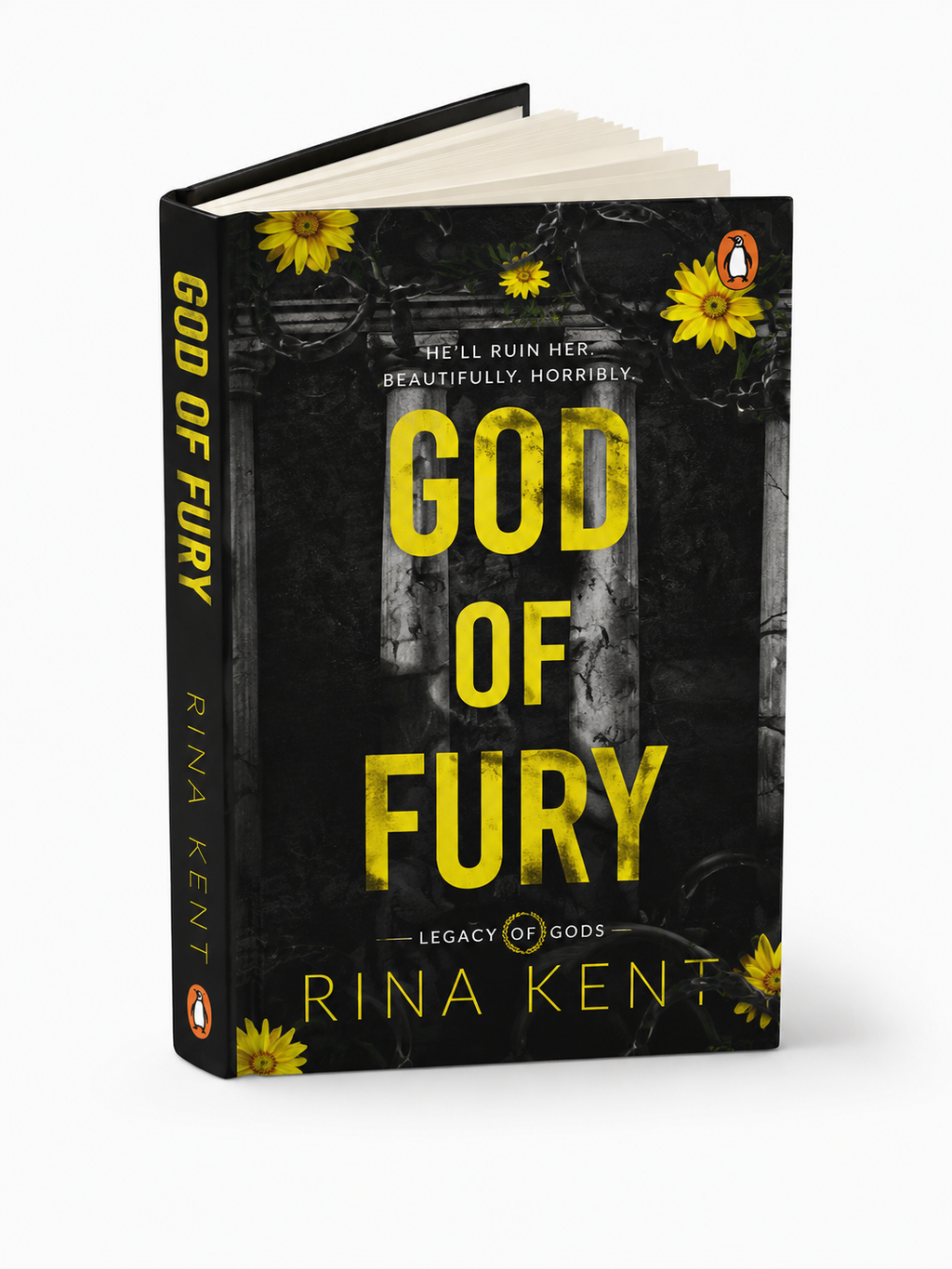 God of Fury - Paperback