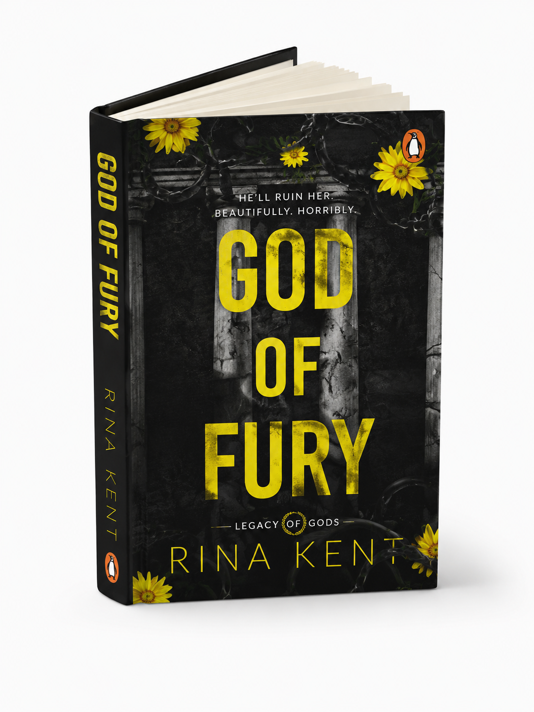 God of Fury - Paperback