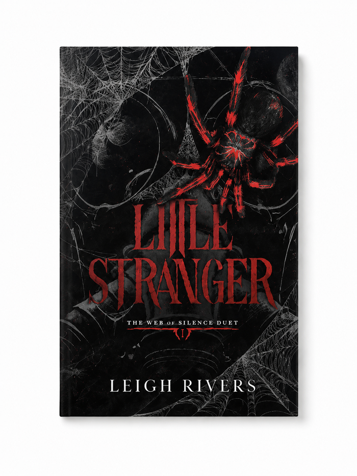 Little Stranger - Paperback